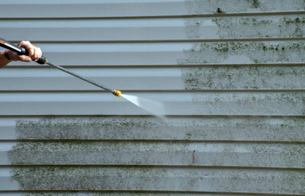 Best Roof Power Washing Services  in Vega, TX